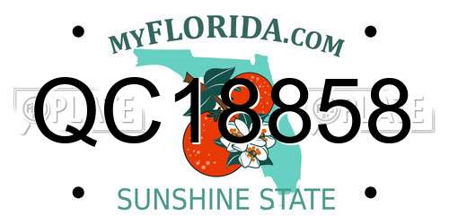 QC18858 Florida License Plate