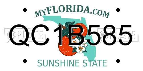 QC1B585 Florida License Plate