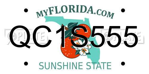 QC1S555 Florida License Plate
