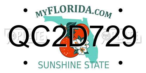 QC2D729 Florida License Plate