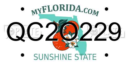 QC2O229 Florida License Plate