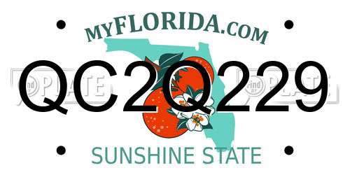 QC2Q229 Florida License Plate