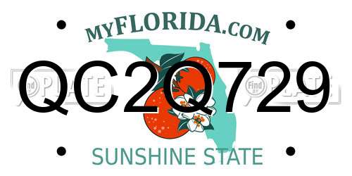 QC2Q729 Florida License Plate
