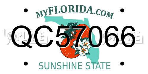 QC57066 Florida License Plate