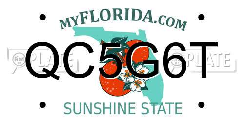 QC5G6T Florida License Plate