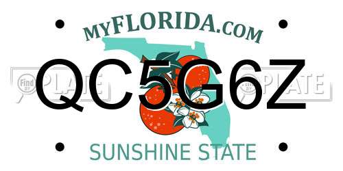 QC5G6Z Florida License Plate