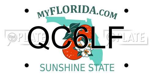QC6LF Florida License Plate