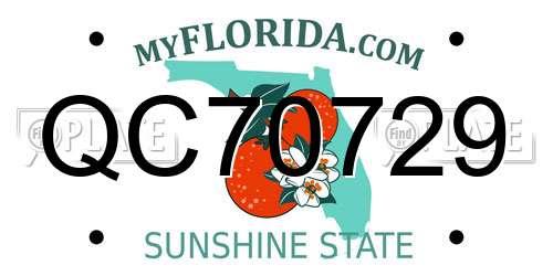 QC70729 Florida License Plate