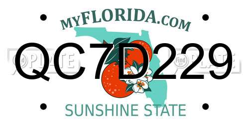 QC7D229 Florida License Plate