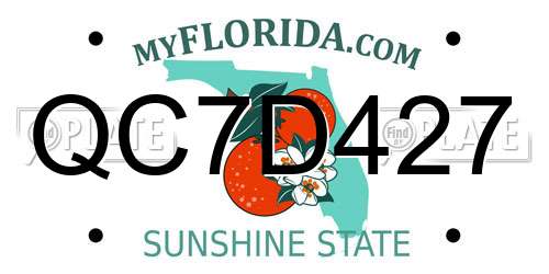 QC7D427 Florida License Plate