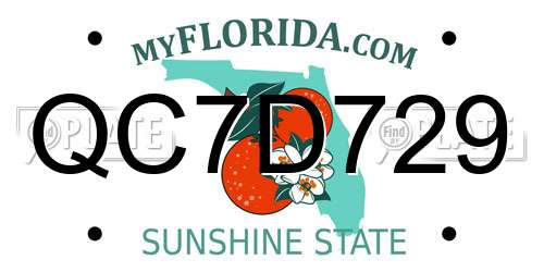 QC7D729 Florida License Plate