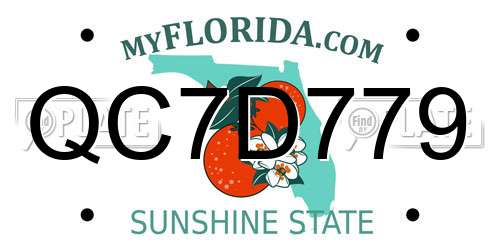 QC7D779 Florida License Plate