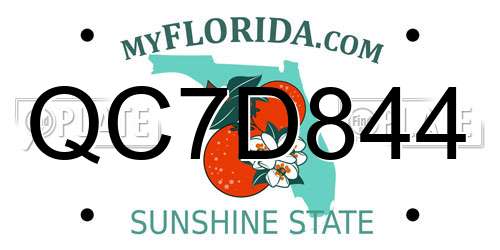 QC7D844 Florida License Plate