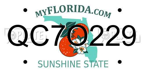 QC7O229 Florida License Plate