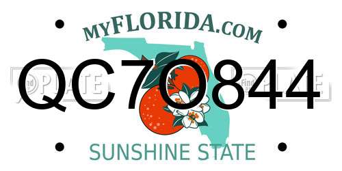 QC7O844 Florida License Plate