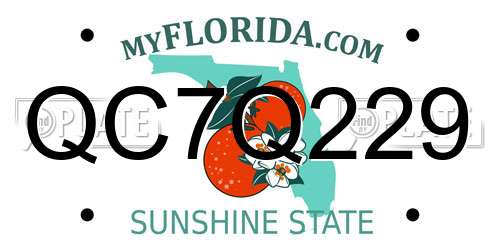 QC7Q229 Florida License Plate