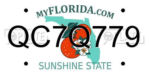 QC7Q779 Florida License Plate