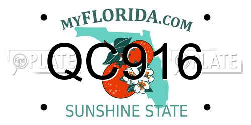 QC916 Florida License Plate