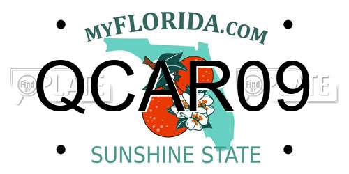 QCAR09 Florida License Plate