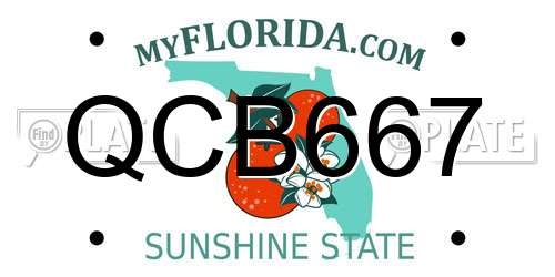 QCB667 Florida License Plate