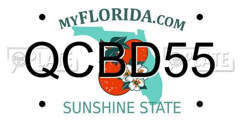 QCBD55 Florida License Plate