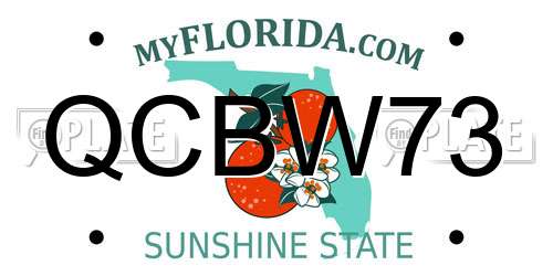 QCBW73 Florida License Plate