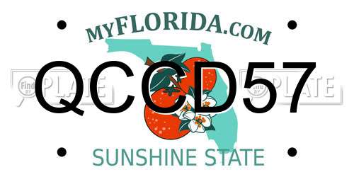 QCCD57 Florida License Plate
