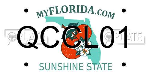 QCCL01 Florida License Plate