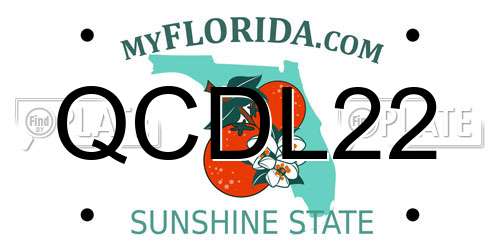 QCDL22 Florida License Plate
