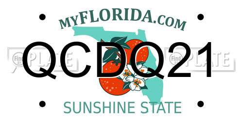 QCDQ21 Florida License Plate