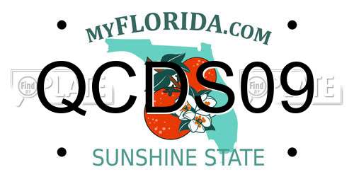 QCDS09 Florida License Plate