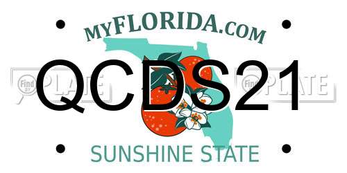 QCDS21 Florida License Plate