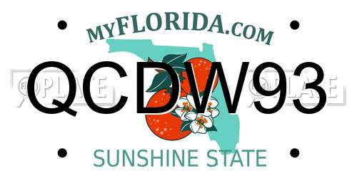 QCDW93 Florida License Plate