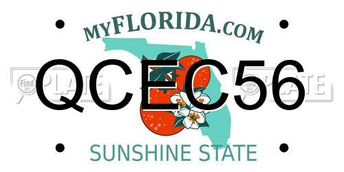 QCEC56 Florida License Plate