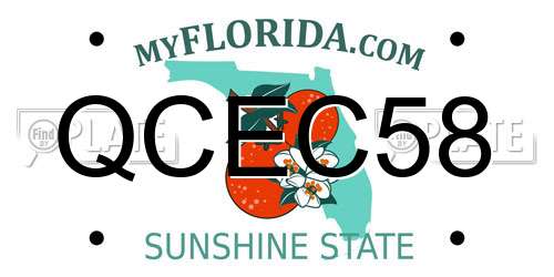 QCEC58 Florida License Plate