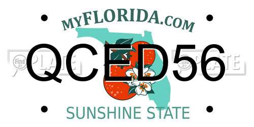 QCED56 Florida License Plate