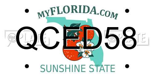 QCED58 Florida License Plate