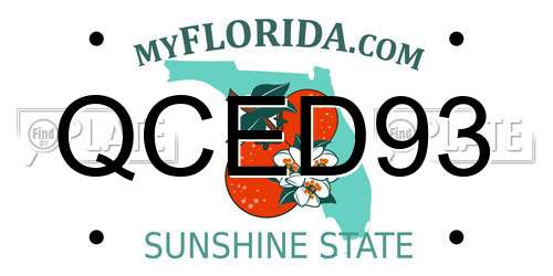 QCED93 Florida License Plate