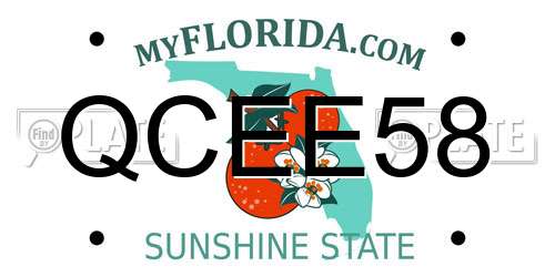 QCEE58 Florida License Plate