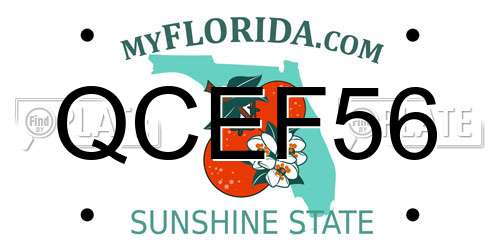 QCEF56 Florida License Plate