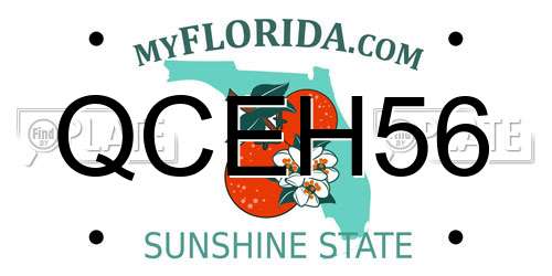 QCEH56 Florida License Plate
