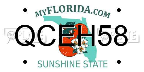 QCEH58 Florida License Plate