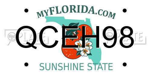 QCEH98 Florida License Plate