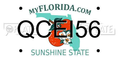 QCEI56 Florida License Plate