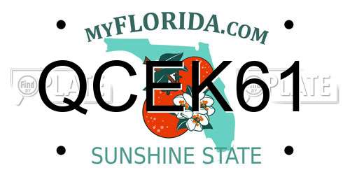 QCEK61 Florida License Plate