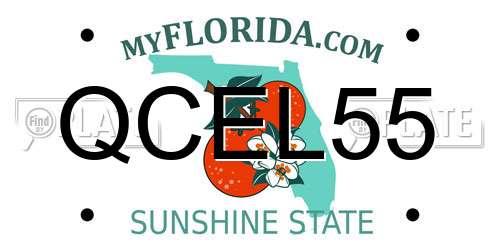 QCEL55 Florida License Plate