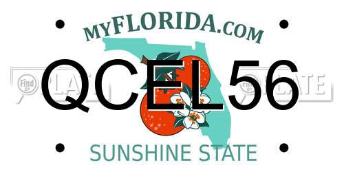QCEL56 Florida License Plate