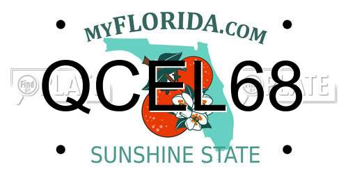 QCEL68 Florida License Plate
