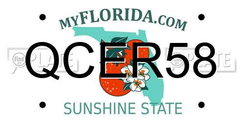 QCER58 Florida License Plate