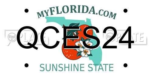 QCES24 Florida License Plate